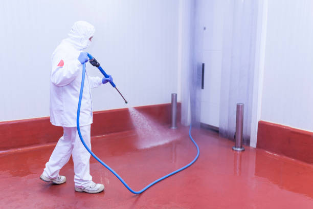 Best Driveway Pressure Washing  in Newton, KS
